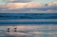 In Cannon Beach OR