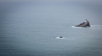 View of Tillamook Rock Lighthouse from Clatsop Loop Trail, Ecola State Park, Cannon Beach OR