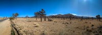 In Joshua Tree National Park