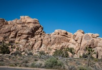 In Joshua Tree National Park