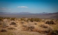 In Joshua Tree National Park