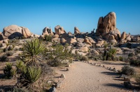 On Arch Rock Trail in Joshua Tree National Park