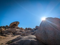 On Arch Rock Trail in Joshua Tree National Park