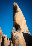 Near Arch Rock in Joshua Tree National Park