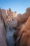 Near Arch Rock in Joshua Tree National Park