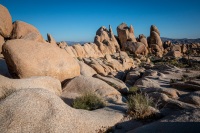 On Arch Rock Trail in Joshua Tree National Park