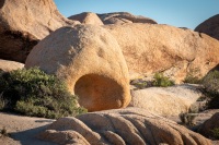 On Arch Rock Trail in Joshua Tree National Park