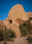 At Skull Rock in Joshua Tree National Park