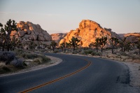 In Joshua Tree National Park