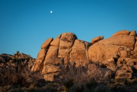 Sunrise at Quail Springs in Joshua Tree National Park