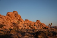 Sunrise at Quail Springs in Joshua Tree National Park