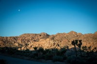 Sunrise at Quail Springs in Joshua Tree National Park