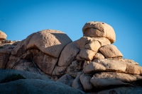 On the Barker Dam Trail in Joshua Tree National Park