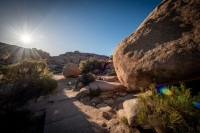 On the Barker Dam Trail in Joshua Tree National Park