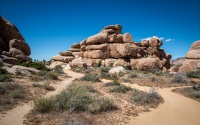 At Cap Rock in Joshua Tree National Park