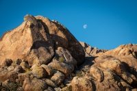 On the Fortynine Palms Oasis Trail in Joshua Tree National Park