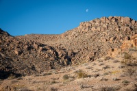 On the Fortynine Palms Oasis Trail in Joshua Tree National Park