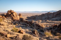 On the Fortynine Palms Oasis Trail in Joshua Tree National Park