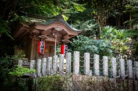 At Nanzoin Temple in Sasaguri, Japan