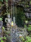 At Nanzoin Temple in Sasaguri, Japan