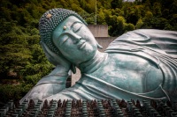 At Nanzoin Temple in Sasaguri, Japan