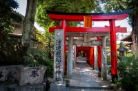 At Kushida Shrine in Fukuoka