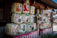 At Kushida Shrine in Fukuoka