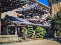 At Tochiji Temple in Fukuoka