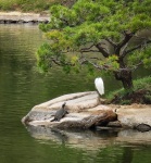 At Shukkeien Garden in Hiroshima