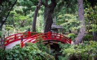 At Shukkeien Garden in Hiroshima