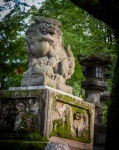 At Yasaka Shrine in Kyoto