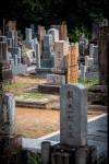 Kodaiji Temple in Kyoto