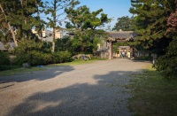 In Kyoto Gyoen National Garden