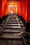 At Funishi-Inari Shrine in Kyoto