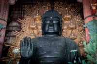 At Todai-ji Temple in Nara