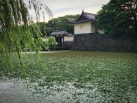 Around the Imperial Palace in Tokyo