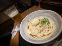 Udon at Tokyo Station