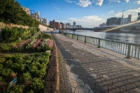 Along the Sumida River in Tokyo