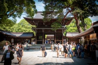 At Meiji Shrine in Tokyo