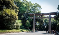 At Meiji Shrine in Tokyo