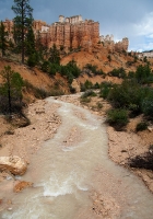 Along the trail to Mossy Cave