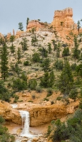 Along the trail to Mossy Cave