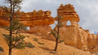 Along the trail to Mossy Cave