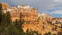 Along the trail to Mossy Cave