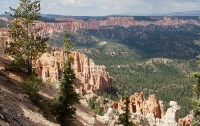 Along the Bristlecone Pine Trail