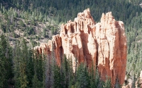 Along the Bristlecone Pine Trail