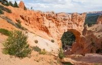 Natural Bridge