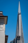 Transamerica Building in San Francisco