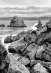 Lands End Trail in San Francisco