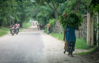 On the drive between the Guest House and main campus at the University of Kinshasa